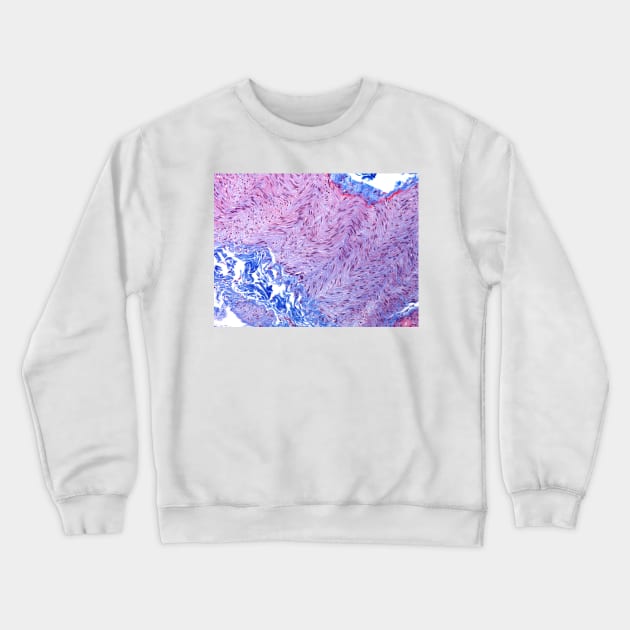 Peripheral nerve, light micrograph (C022/7315) Crewneck Sweatshirt by SciencePhoto